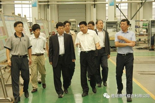 國家能源局能源節約和科技裝備司司長王思強調研勝動集團，共謀能源科技與服務創新發展